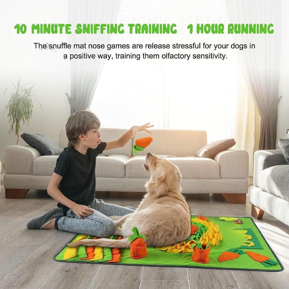 Pet Felt Feeding Pad | Training Blanket