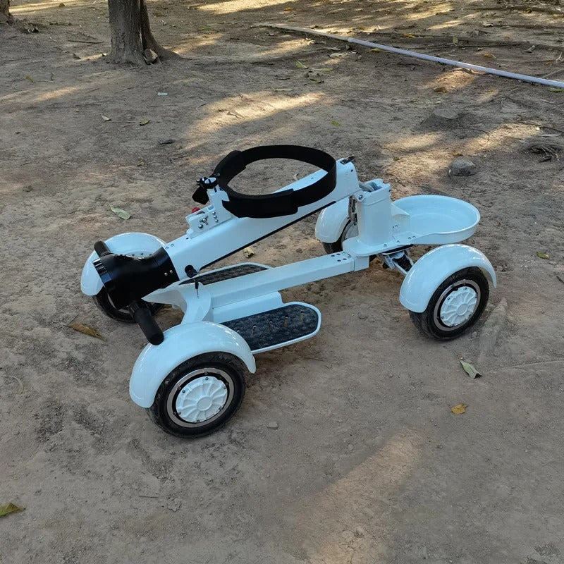 2025 New High Quality Lightweight Electric Club Car Golf Cart, Two Wheel Electric Mini Single Seat Electric Four Wheel Golf Cart