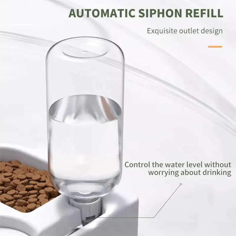 Automatic drinking water bowl for pets, moisture-proof cat and dog bowl, basic model