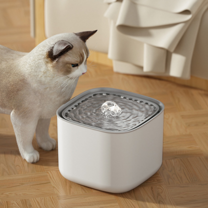 Cat Water Fountain | Ultra Quiet USB Electric Automatic Recirculating Dispenser