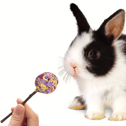 3-Pack Rabbit Lollipop Chew Toys Teeth Grinding Candy-Shaped Pet Chews With Petal Design | Apple Branch Chew Wood For Rabbits Guinea Pigs Teeth Grinding Treats