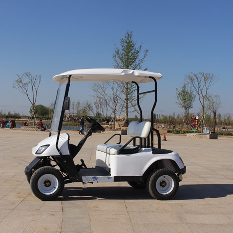 72V 2-Seater Electric Golf Cart Steel Metal Material Curtis Controller Dot EEC Certified Compatible with Club Car
