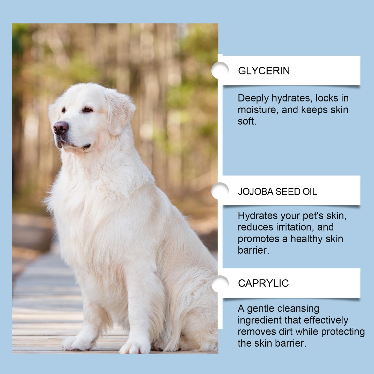 Pet Oral Care Kit | Gentle Dental Cleaning Solution | Plaque Tartar Control | For Dogs And Cats | Mouth Hygiene | Sensitive Oral Care