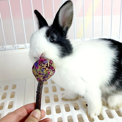3-Pack Rabbit Lollipop Chew Toys Teeth Grinding Candy-Shaped Pet Chews With Petal Design | Apple Branch Chew Wood For Rabbits Guinea Pigs Teeth Grinding Treats