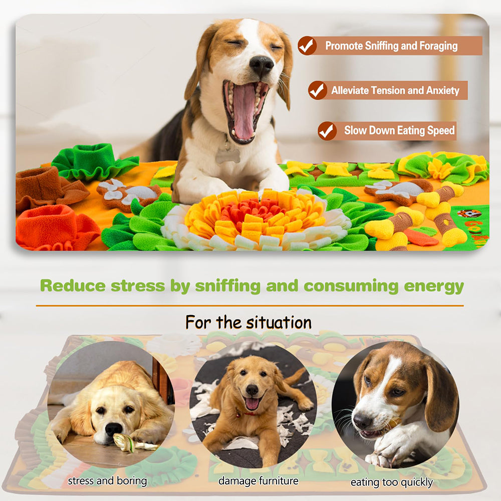 New pet sniffing pads, training pads and sound-making toys