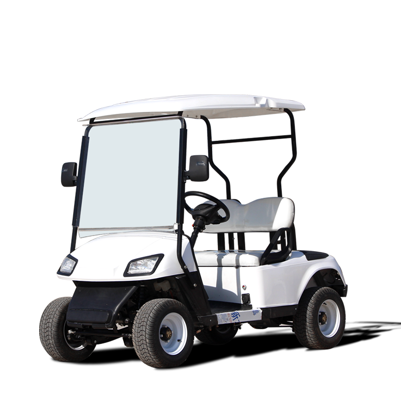 72V 2-Seater Electric Golf Cart Steel Metal Material Curtis Controller Dot EEC Certified Compatible with Club Car