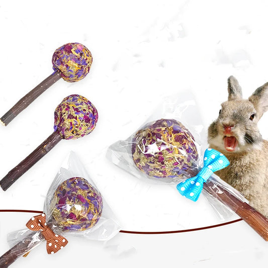 3-Pack Rabbit Lollipop Chew Toys Teeth Grinding Candy-Shaped Pet Chews with Petal Design  Apple Branch Chew Wood for Rabbits, Guinea Pigs Teeth Grinding Treats