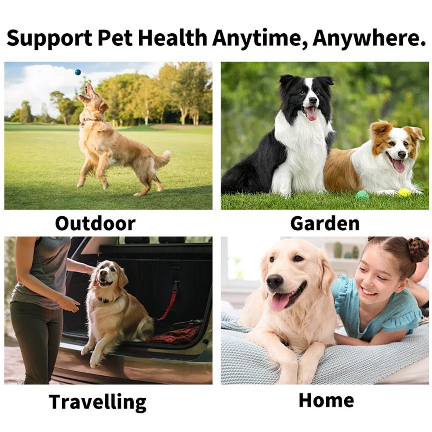 50Pcs Pet Teeth Cleaning Wipes | Dental Finger Wipes | Disposable Gentle Teeth Cleaning Pads | Bad Breath Remover | For Dogs And Cats