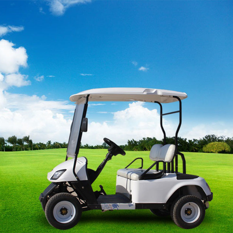 72V 2-Seater Electric Golf Cart Steel Metal Material Curtis Controller Dot EEC Certified Compatible with Club Car