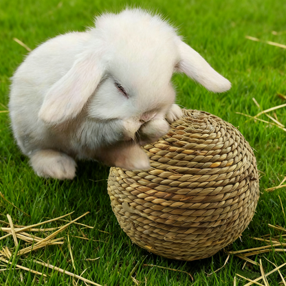 6CM Pet Chew Toy Natural Grass Ball | Rabbit Hamster Guinea Pig Tooth Cleaning Supplies