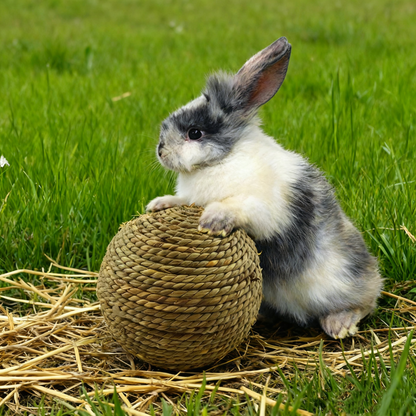 6CM Pet Chew Toy Natural Grass Ball | Rabbit Hamster Guinea Pig Tooth Cleaning Supplies