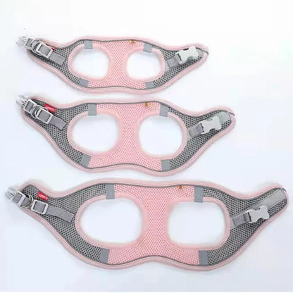 Cat & Dog Vest Chest Harness Set | Reflective Breathable Adjustable Outdoor Walking Harness