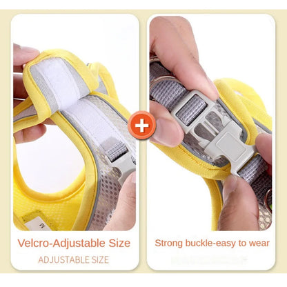 Cat & Dog Vest Chest Harness Set | Reflective Breathable Adjustable Outdoor Walking Harness