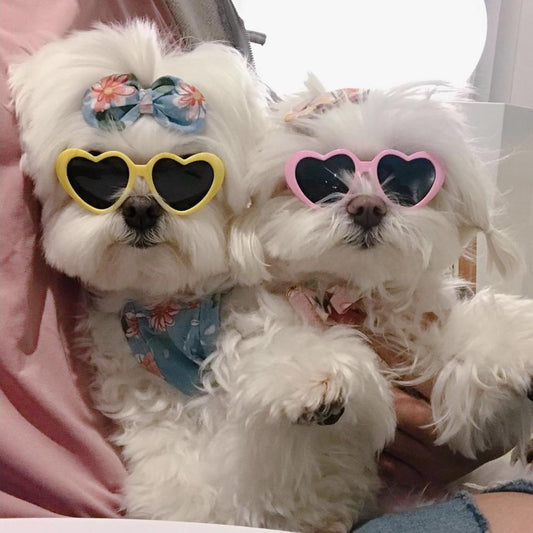 New Love Pet Glasses Dog Cat Cute Creative Fashion Sunglasses Sunglasses and Jewelry Pet Grooming Decoration Supplies