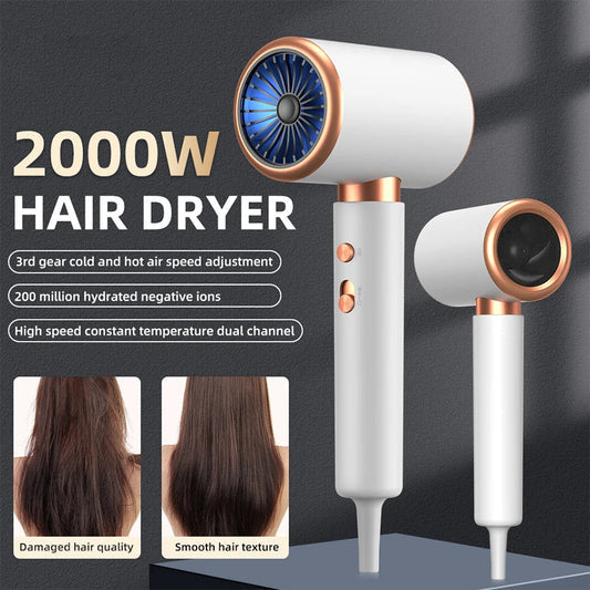 Sèche-cheveux avec diffuseur Sèche-cheveux Peigne Brosse 1800W Sèche-cheveux ioniques avec diffuseur Soins capillaires à température constante sans Dama 