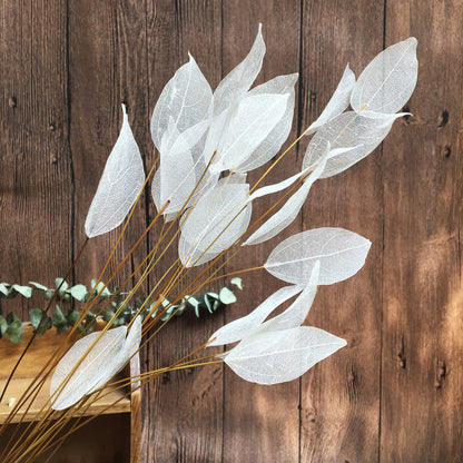 Home Decoration Lucency Leaf Artificial Flowers | Natural Vein Immortal Flowers | Wedding Table Decor with Wire Stem