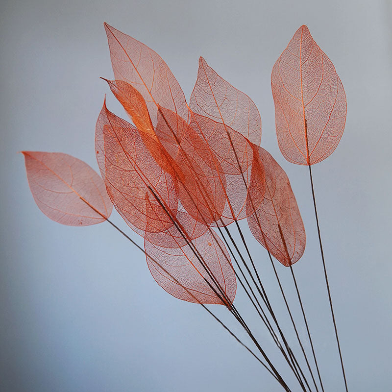 Home Decoration Lucency Leaves Natural Leaf Vein Immortal Artificial Flowers Wedding Table Decoration Wire Stem