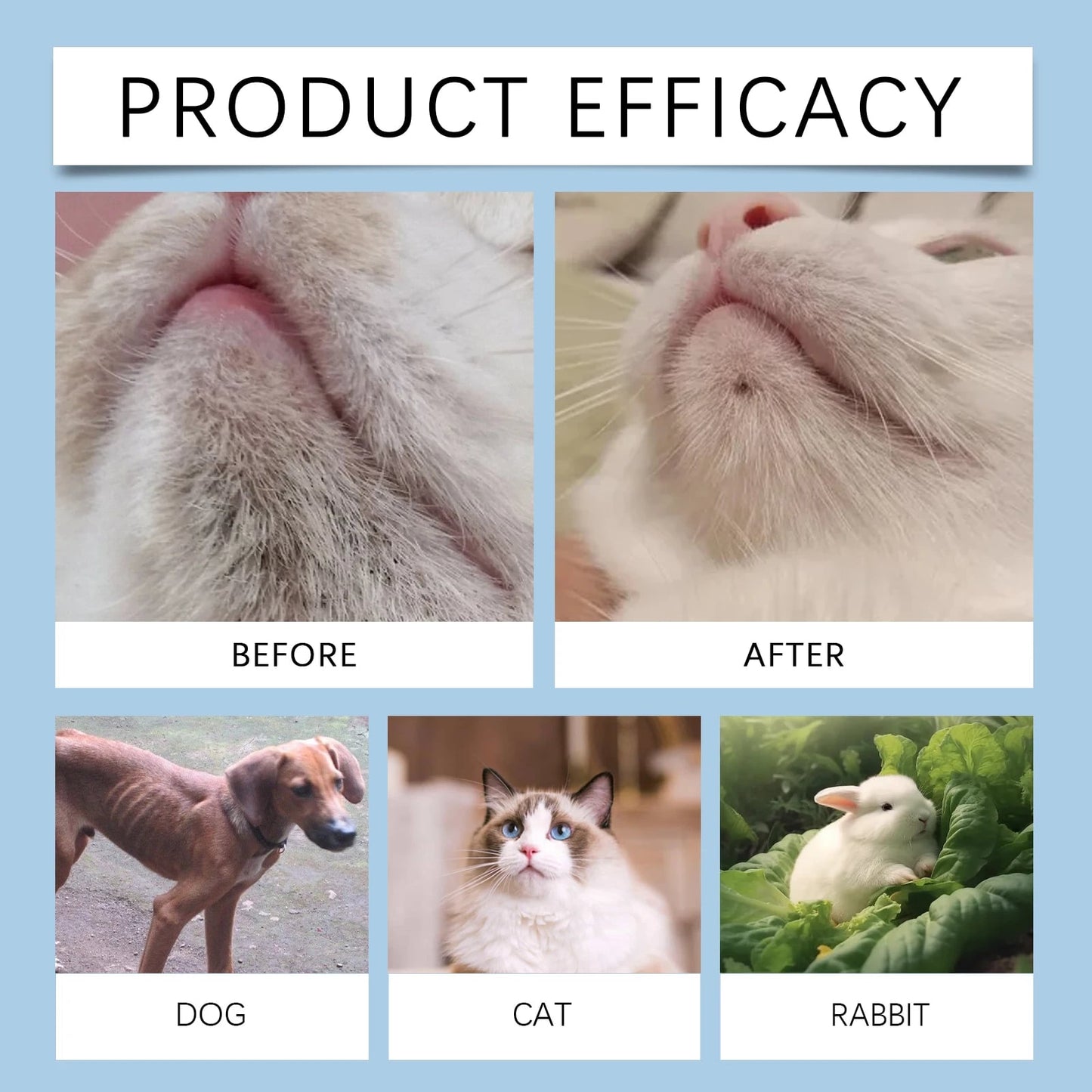 Pet Oral Care Kit | Gentle Dental Cleaning Solution | Plaque Tartar Control | For Dogs And Cats | Mouth Hygiene | Sensitive Oral Care