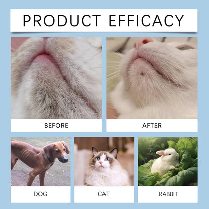 Pet Oral Care Kit | Gentle Dental Cleaning Solution | Plaque Tartar Control | For Dogs And Cats | Mouth Hygiene | Sensitive Oral Care