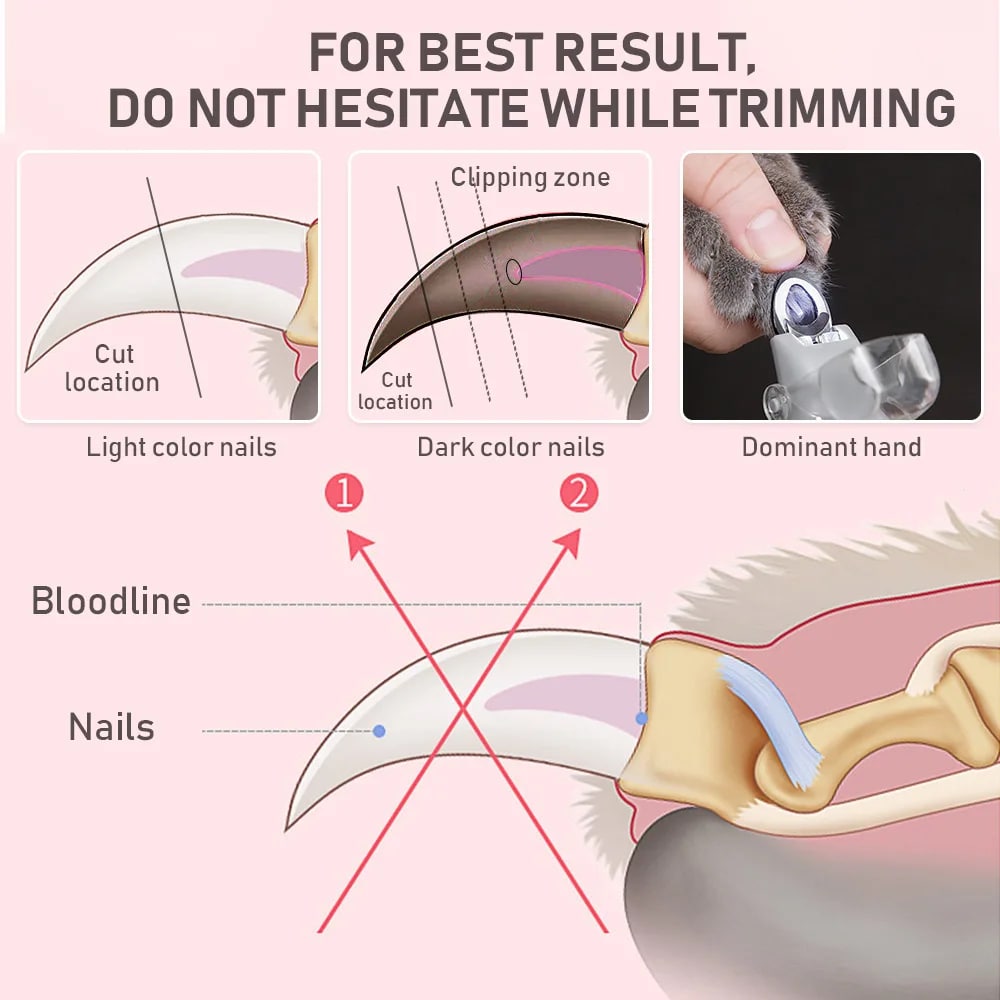 LED Light Pet Nail Clipper | With Amplification Function | Dog Cat Special | Nail Trimmer Tool | Pet Grooming Cleaning Supplies