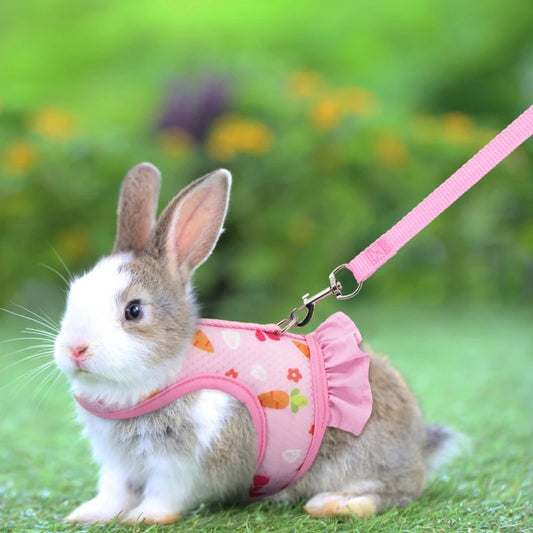 Cute Adjustable Rabbit Harness with Leash  Breathable Mesh Vest Skirt Small Pet Harness Set for Rabbits, Guinea Pigs