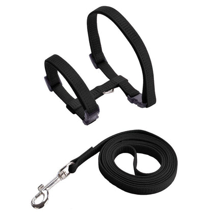 Low Price Rabbit Cat Harness And Leash Set | Adjustable Nylon Harnesses | For Bunny, Kitten | Pet Outdoor Walking Supplies | Accessories