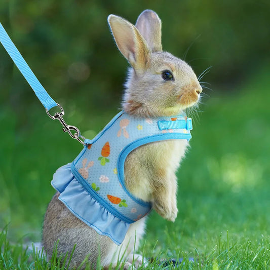 Cute Adjustable Rabbit Harness with Leash  Breathable Mesh Vest Skirt Small Pet Harness Set for Rabbits, Guinea Pigs