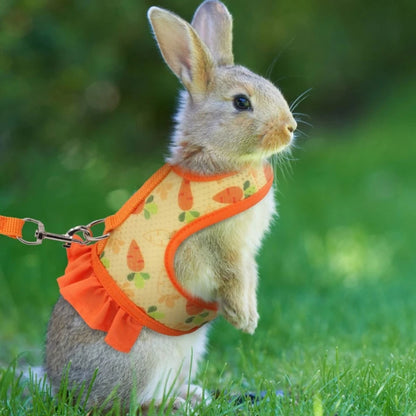 Cute Adjustable Rabbit Harness With Leash | Breathable Mesh Vest Skirt | Small Pet Harness Set | For Rabbits, Guinea Pigs