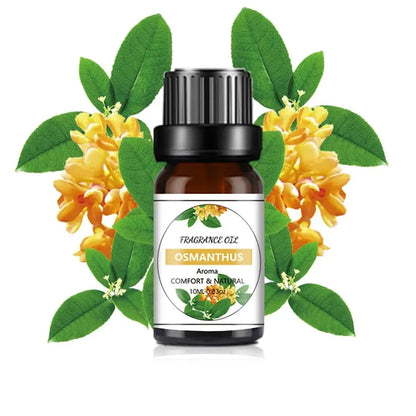 10ml Fruit-Flavored Essential Oil | Natural Plant Extract | DIY Diffuser/Soap/Candle Flavoring Oil