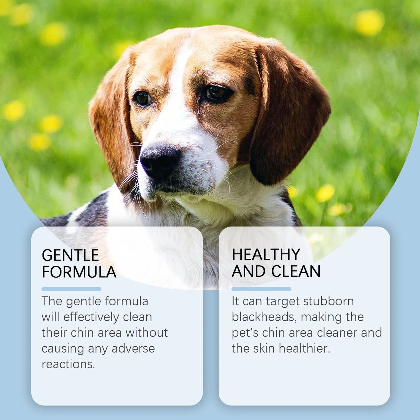 Pet Oral Care Kit | Gentle Dental Cleaning Solution | Plaque Tartar Control | For Dogs And Cats | Mouth Hygiene | Sensitive Oral Care