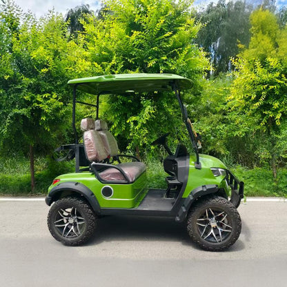 4-Seater/2-Seater Electric Golf Cart | Easy To Maintain | Flexible To Dispatch | Comfortable To Ride