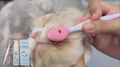 Pet Oral Care Kit | Gentle Dental Cleaning Solution | Plaque Tartar Control | For Dogs And Cats | Mouth Hygiene | Sensitive Oral Care